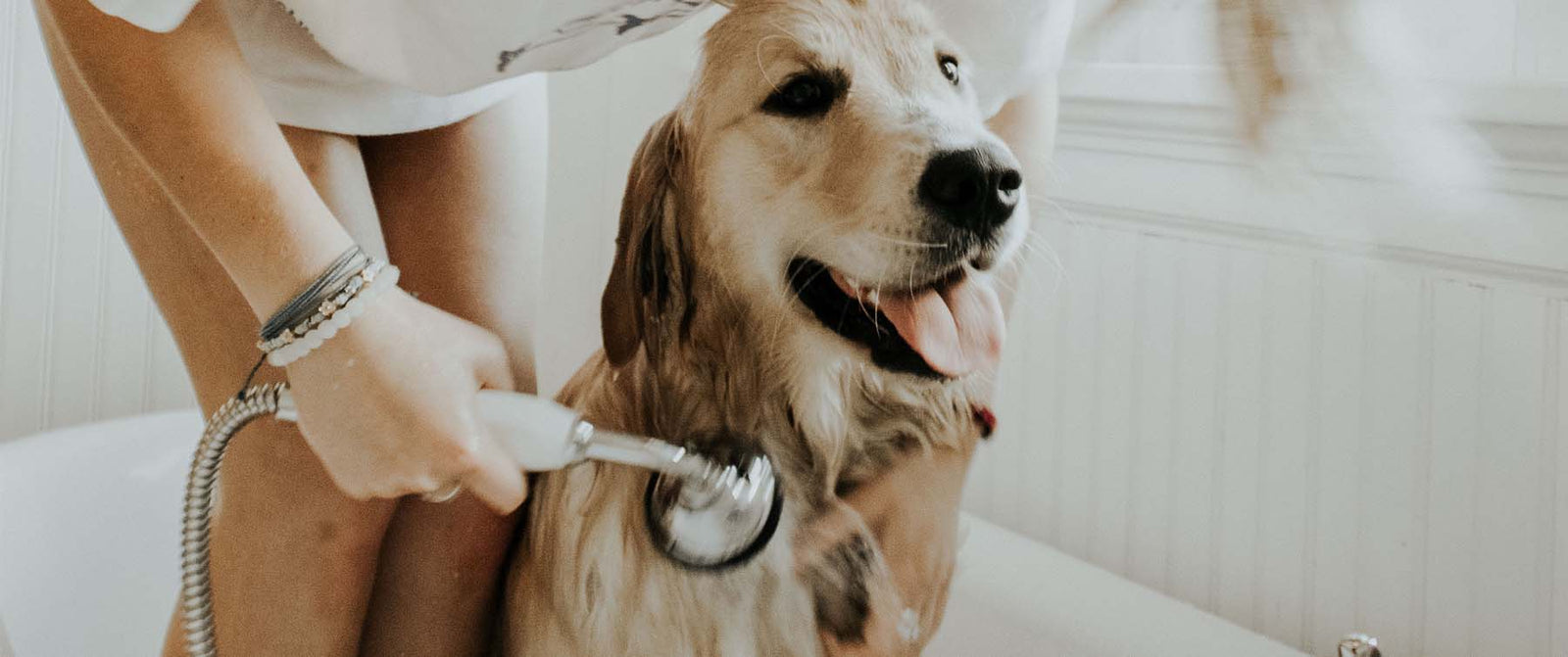 Scrub up with Pet Head!