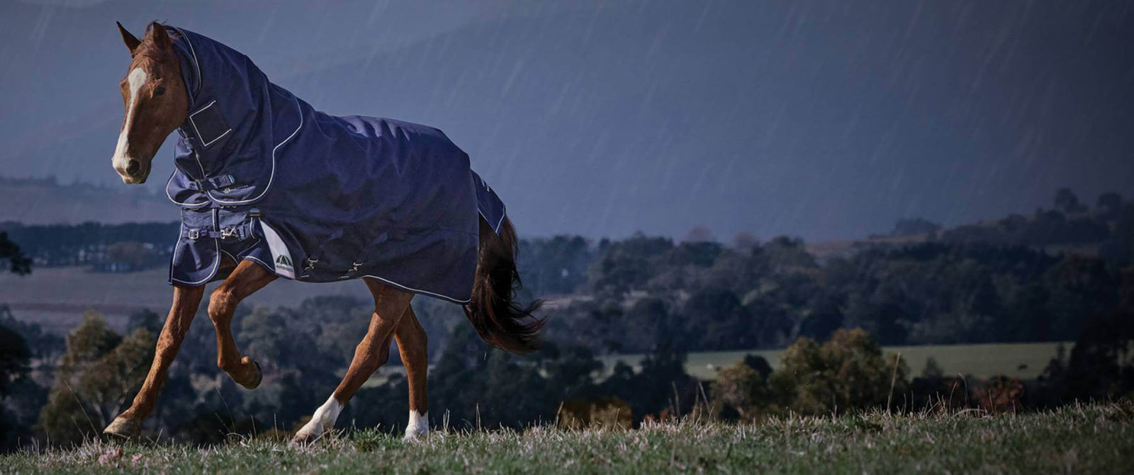 Rugging a Horse According to Temperature