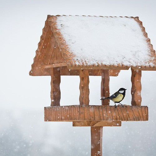 Wild Bird Tables & Stands