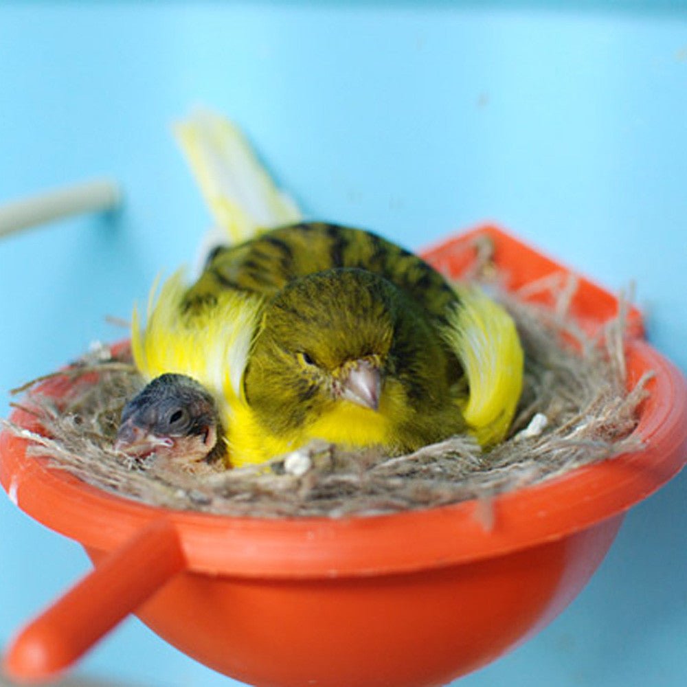 Bird Nesting &amp; Carriers