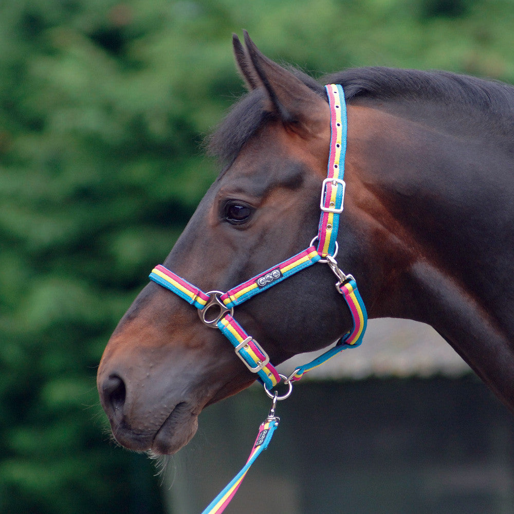 Headcollar & Leadrope