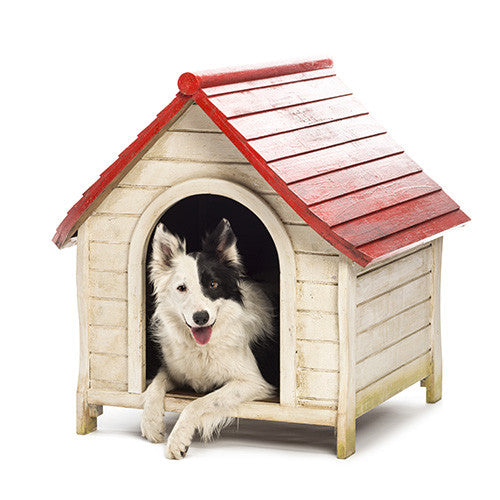 Dog Carriers Flaps & Kennels