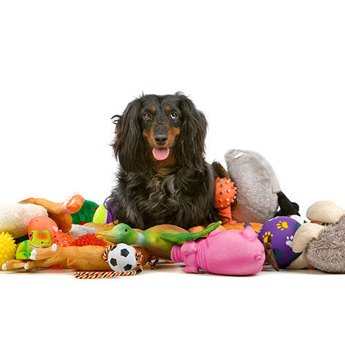 Dog Toys