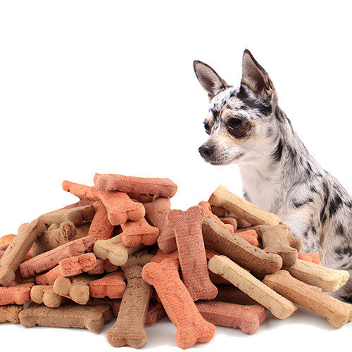 Dog Snacks & Treats