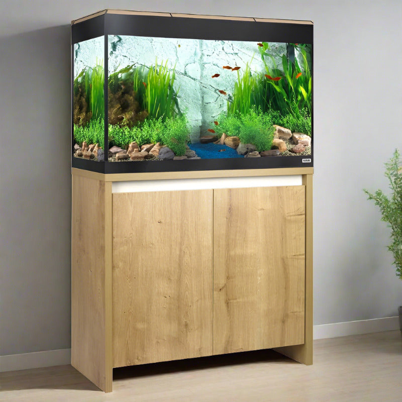Fluval Roma LED 125L Designer Aquarium & Cabinet with Bluetooth LED lighting and vibrant fish.