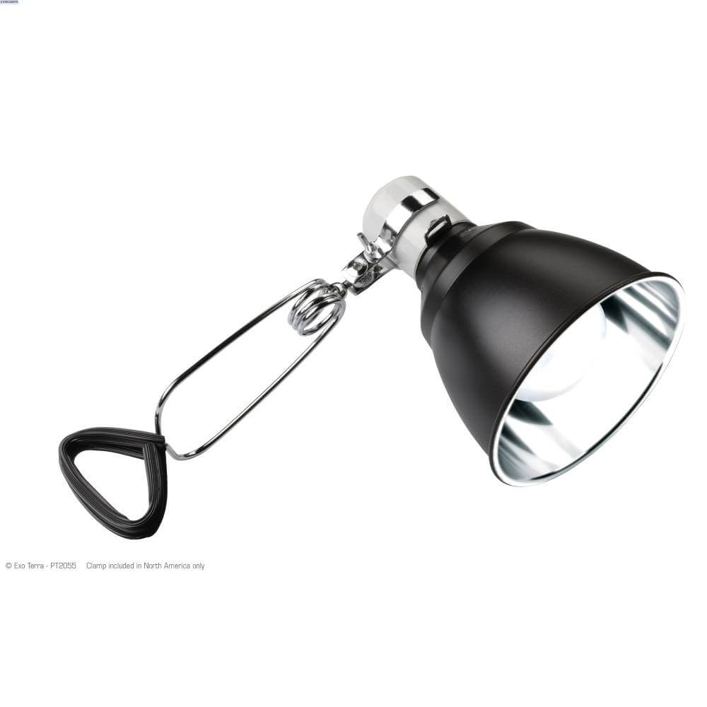 Exo Terra Dome Lighting Fixture in black, for terrariums, shown with box and reptile details.