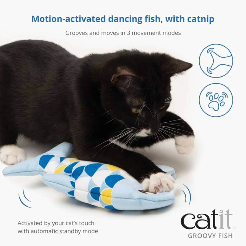 Black and white cat plays with Catit Mini Groovy Fish Blue, a motion-activated catnip toy.