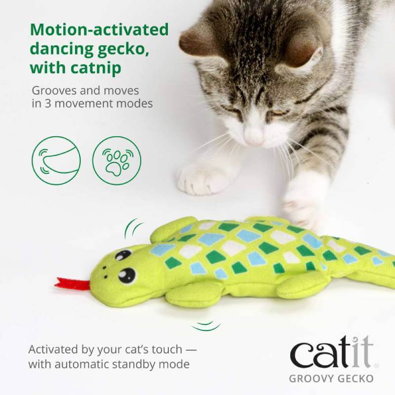 Cat plays with a Catit Mini Groovy Gecko Green cat toy on a white background.