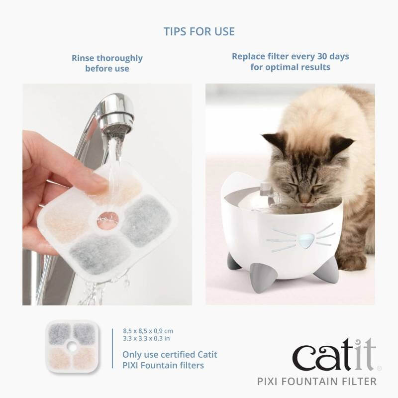 Someone rinses a Catit Pixi Fountain Cartridge as a cat drinks from a Catit fountain.