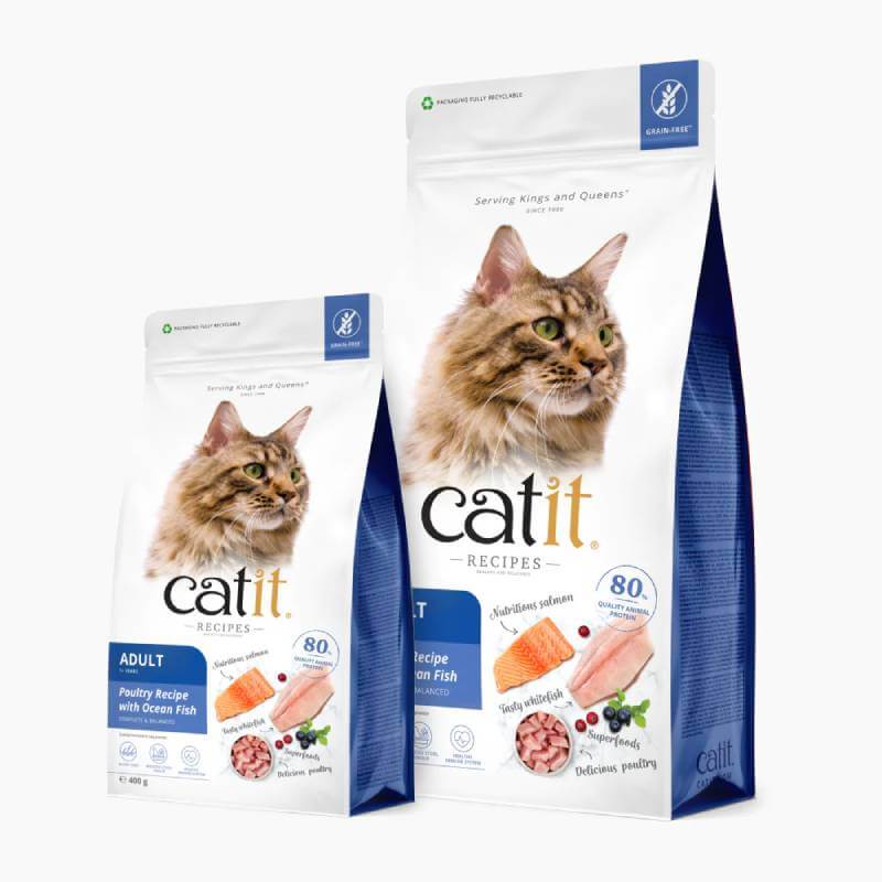 Two bags of Catit Recipes Adult Cat Dry Food Ocean Fish with a Maine Coon cat on the packaging.