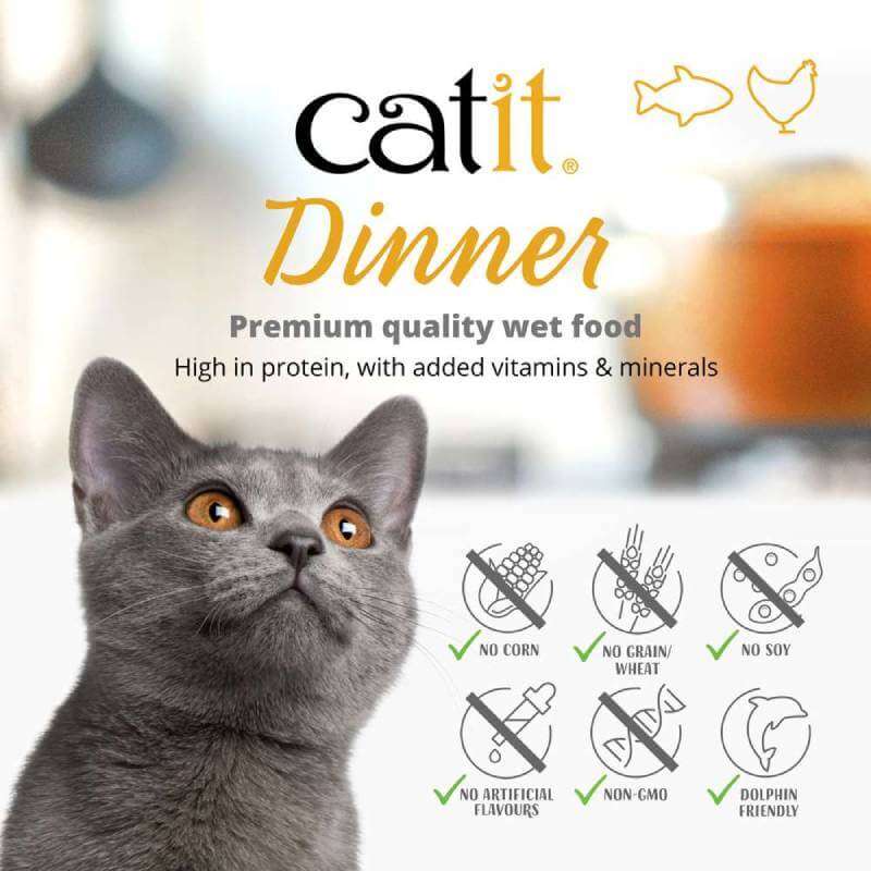 Gray cat looking up; Catit Cuisine Chicken Dinners Variety Pack by Catit, grain-free, protein-rich.