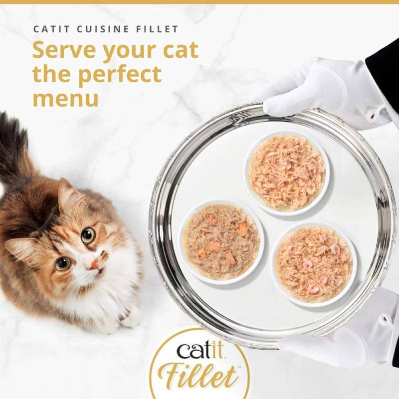 A cat looks up at three Catit Cuisine Chicken Fillets Variety Pack trays held by gloved hands.