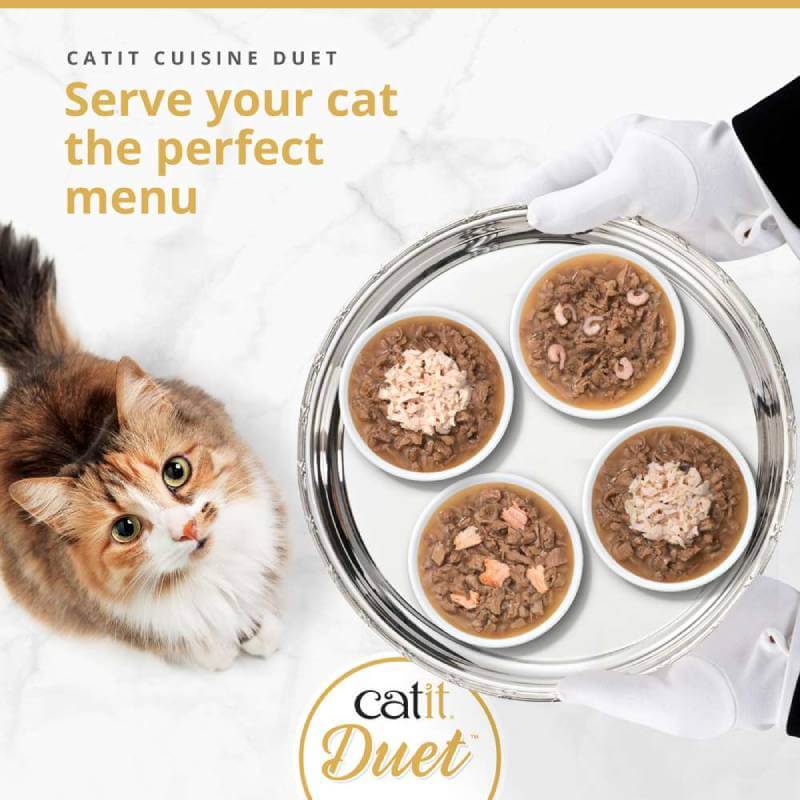 A fluffy cat eyes a tray of Catit Cuisine Duets Variety Pack 12 x 75g, held by gloved hands.