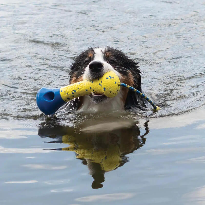 Zeus Nitro Weighted Buoy dog toy with rope, yellow & blue, on purple and white background.