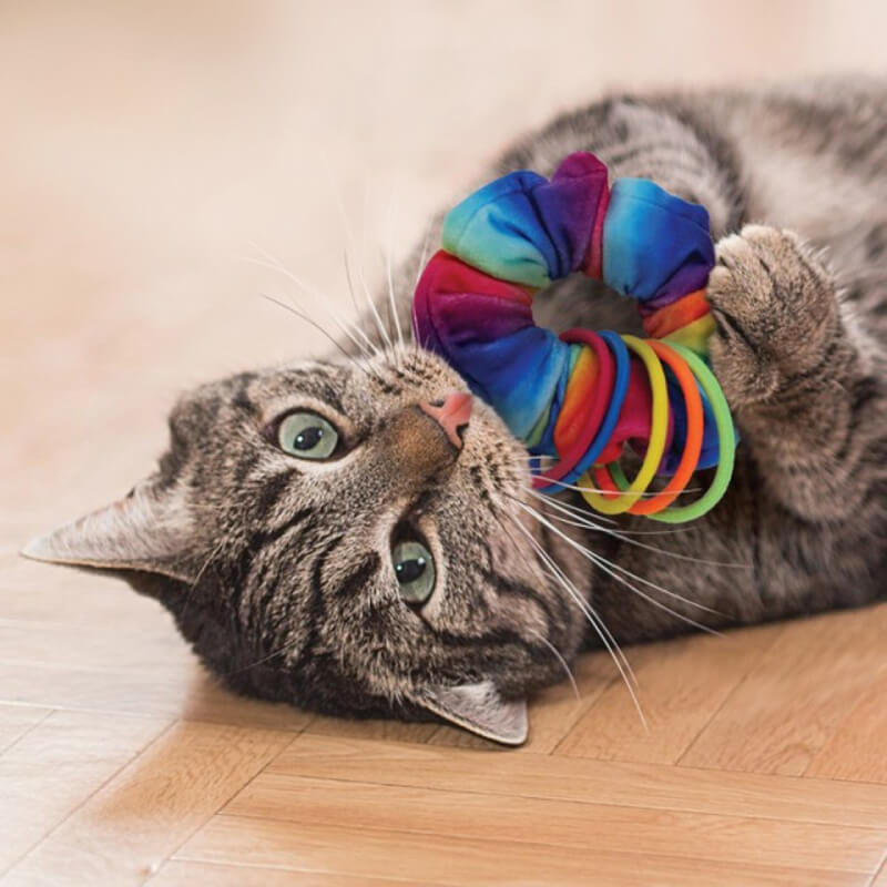 Kong KONG Cat Active Scrunchie catnip toy with colorful rings, girl holding a cat.