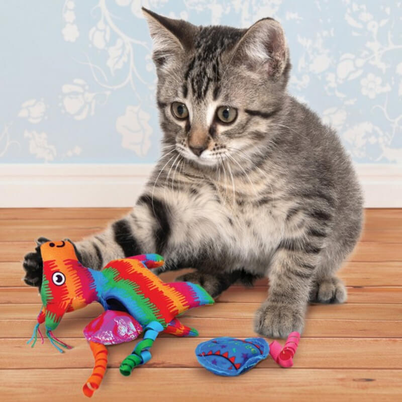 Gray tabby kitten playing with a Kong Pull-A-Partz Pinata cat toy by Kong on a wooden floor.