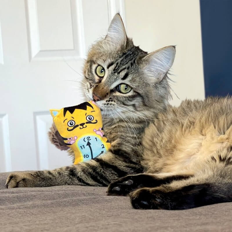 KONG Artz Dali Van Gogh 2pk catnip toys by Kong in a colorful, artist-inspired package.