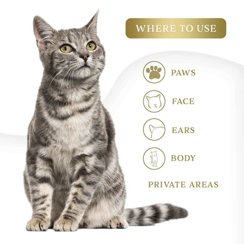 Gray tabby cat with icons for Wahl Cat Refresh Cleaning Wipes - Coconut Lime Verbena use areas.