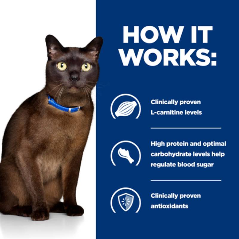 A brown cat by Hills Prescription Diet M/D Feline 12x85g pouches on a blue-white backdrop.
