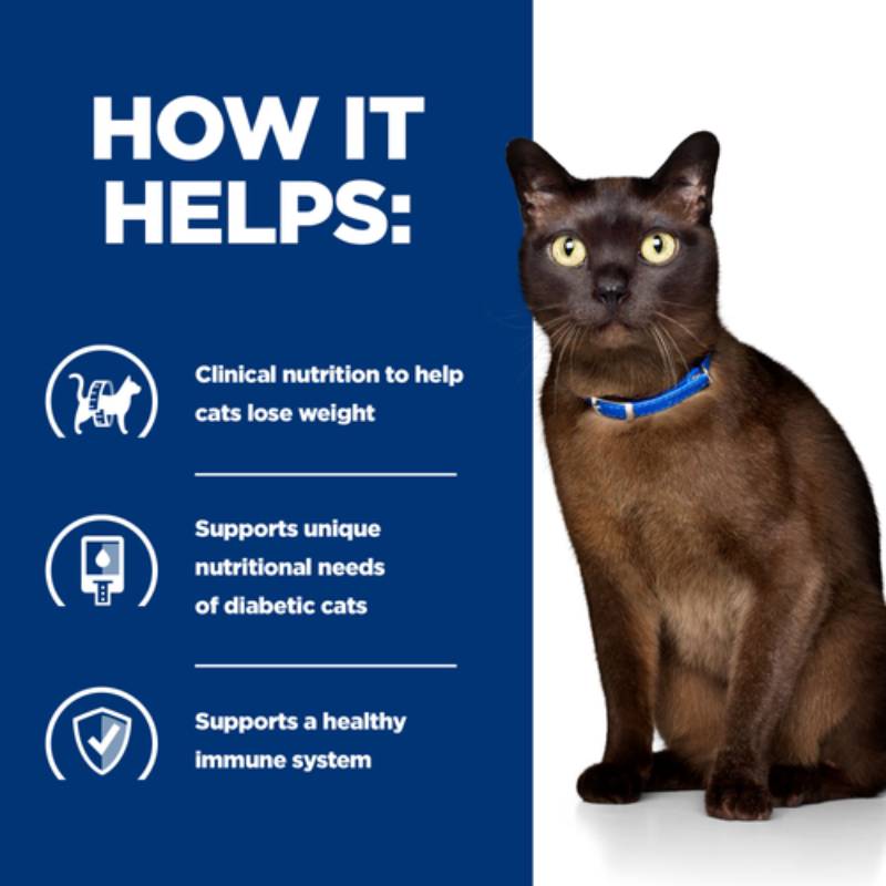 Brown cat with blue collar beside Hills Prescription Diet M/D Feline pouches on blue background.
