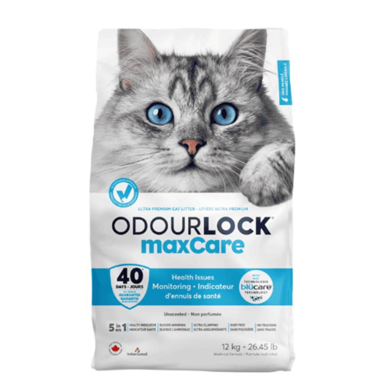 Intersand Odourlock Maxcare with Blucare Cat Litter 12kg and a close-up of a grey and white cat.