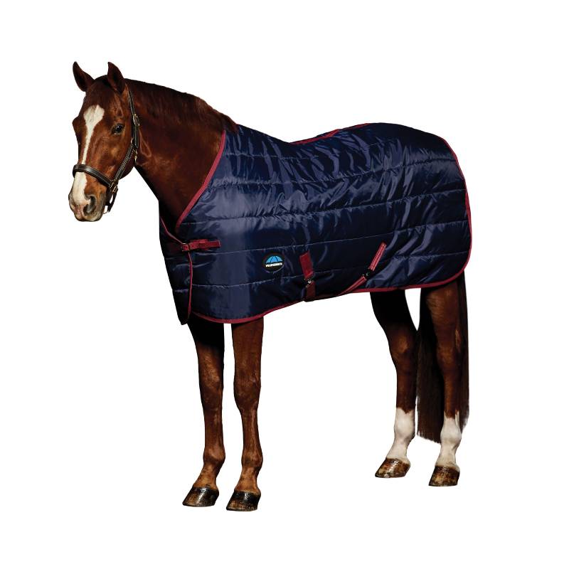 Brown horse in a navy Weatherbeeta Comfitec 210D rugs with burgundy trim, facing left.