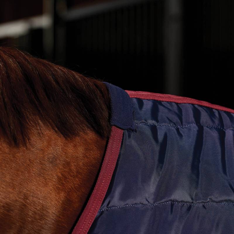 Close-up of a horse in a Weatherbeeta Comfitec 210D Navy/Burgundy stable rug in the stable.