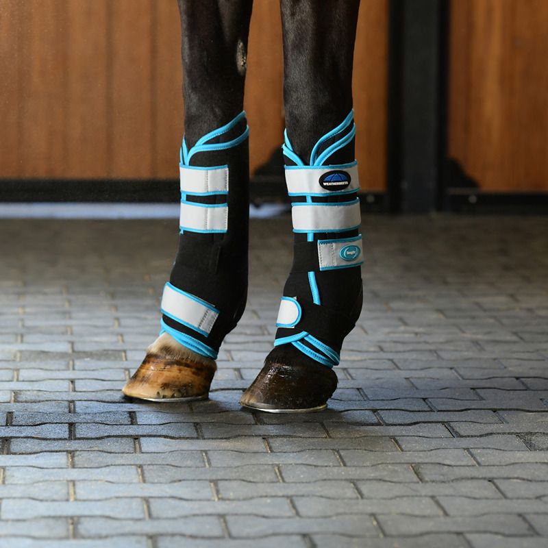 A horse wears Weatherbeeta Therapy-Tec Stable Boot Wraps Black/Blue on a paved stable floor.