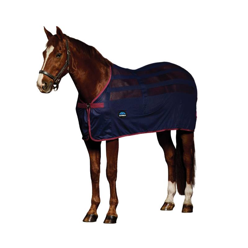 A brown horse wears a Weatherbeeta Scrim Cooler Standard Neck Navy/Burgundy rug.