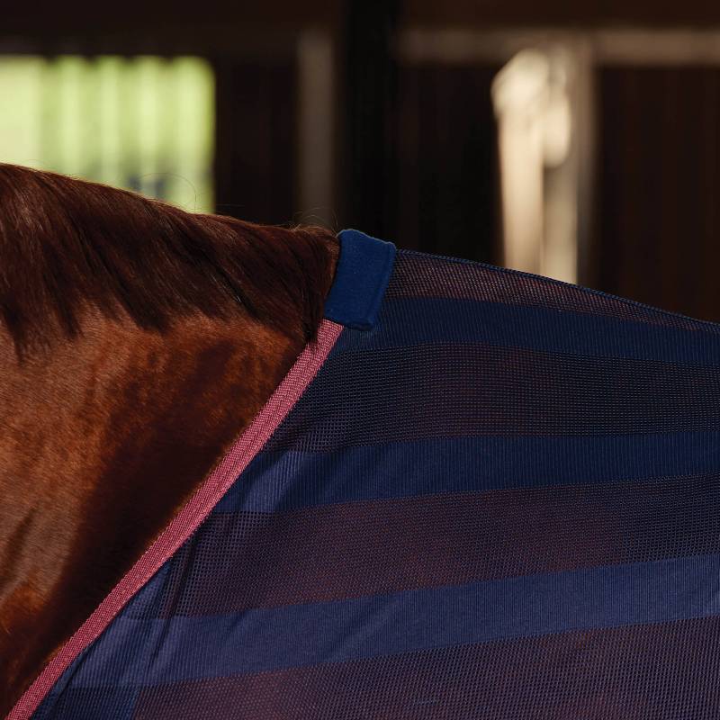 Close-up of a horse's neck in a Weatherbeeta Scrim Cooler Standard Neck Navy/Burgundy indoors.