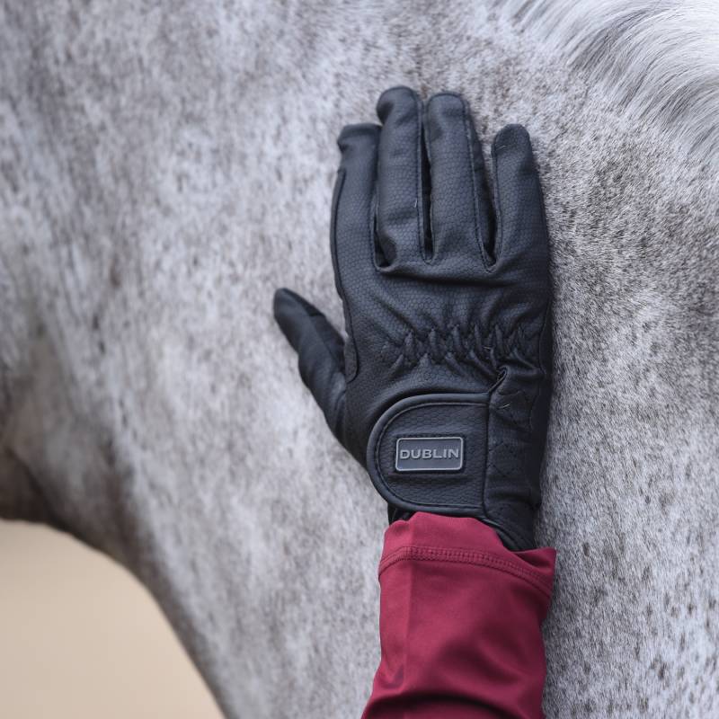 A Dublin riding glove in black touches the side of a gray horse.