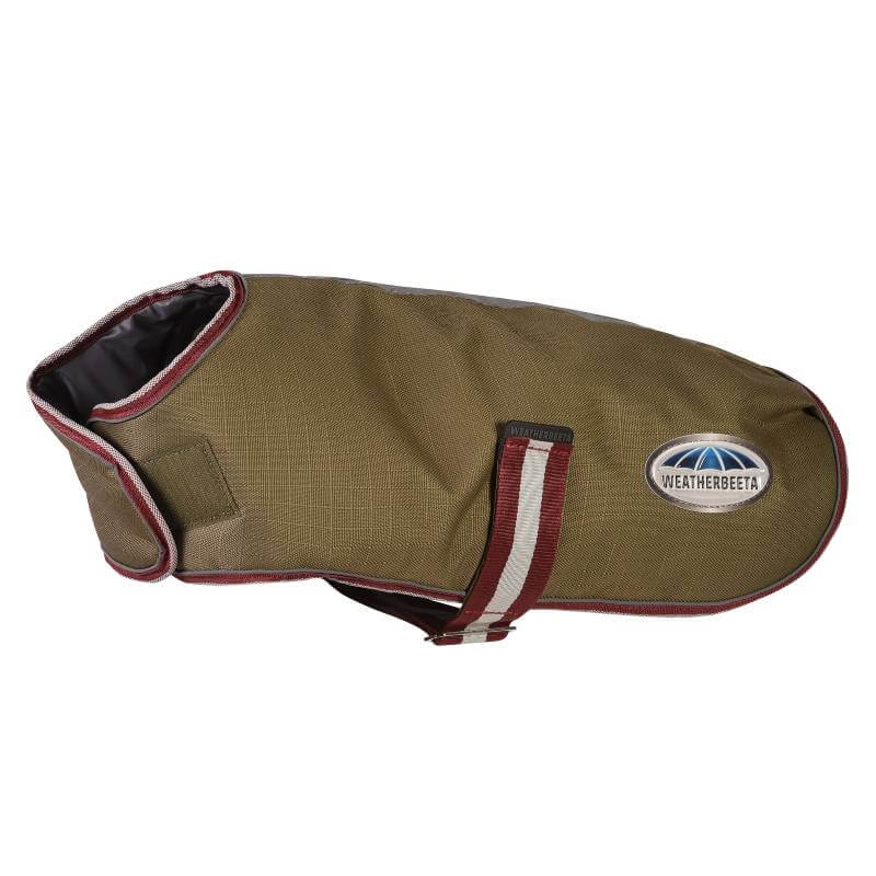 Weatherbeeta Comfitec Premier Free Parka olive green dog coat with burgundy trim, medium size.
