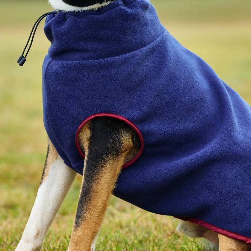 Dog wearing a Weatherbeeta Comfitec Fleece Zip Dog Coat Navy/Burgundy, sitting on grass.
