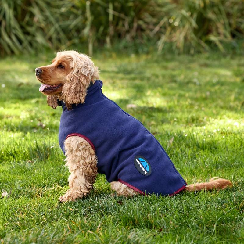 Brown dog in a Weatherbeeta Comfitec Fleece Zip Dog Coat Navy/Burgundy sits on grass.