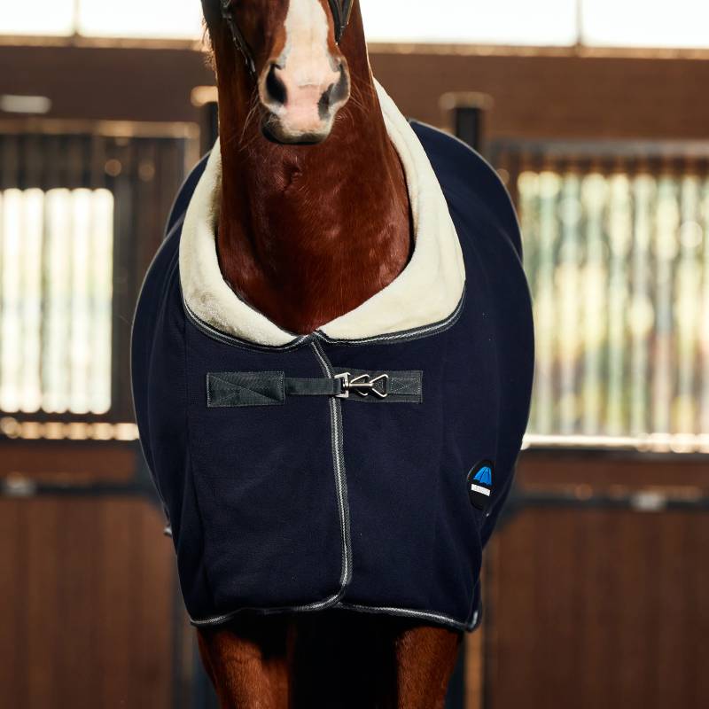 A horse in a stable wears a Weatherbeeta Sherpa Fleece Cooler Standard Neck Navy/Charcoal.