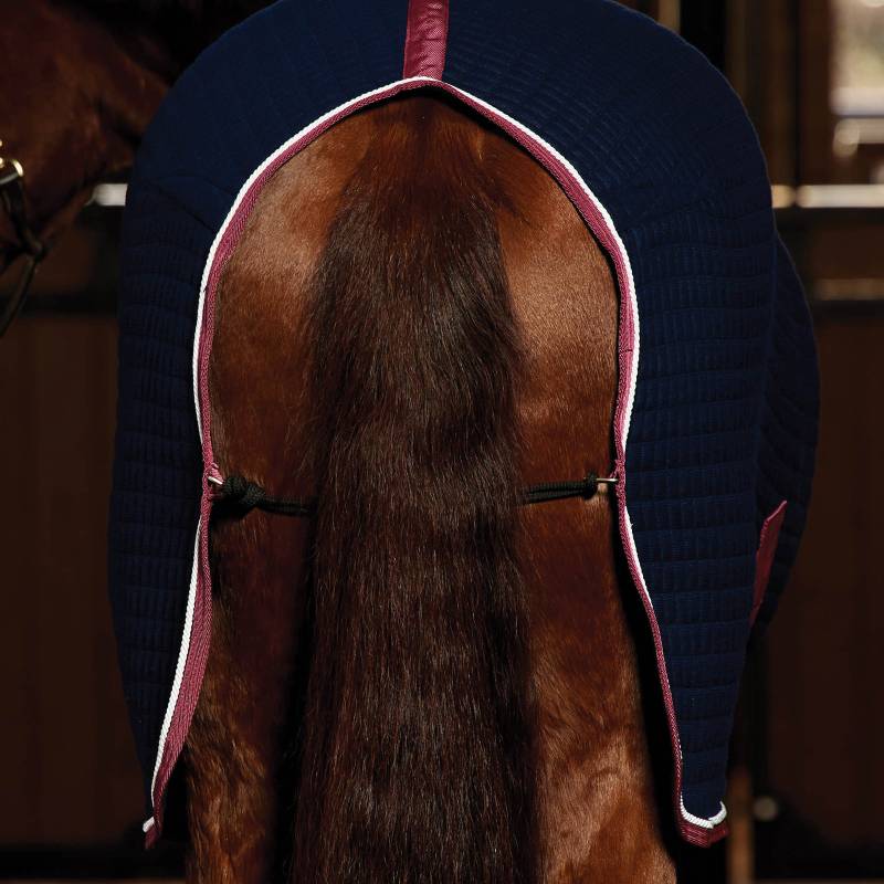 A horse in a navy bonnet with pink trim, wearing a Weatherbeeta Thermocell Cooler Navy/Burgundy.