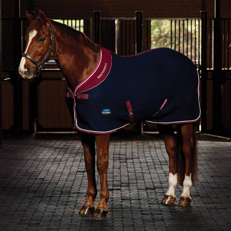 Chestnut horse in a Weatherbeeta Thermocell Cooler Standard Neck Navy/Burgundy in a stable aisle.