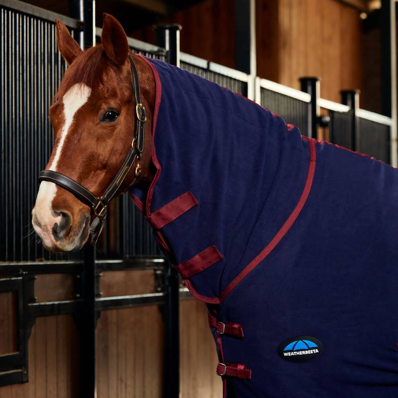 Chestnut horse in Weatherbeeta Anti-Static Fleece Cooler Combo Neck Navy/Burgundy stands in stable.