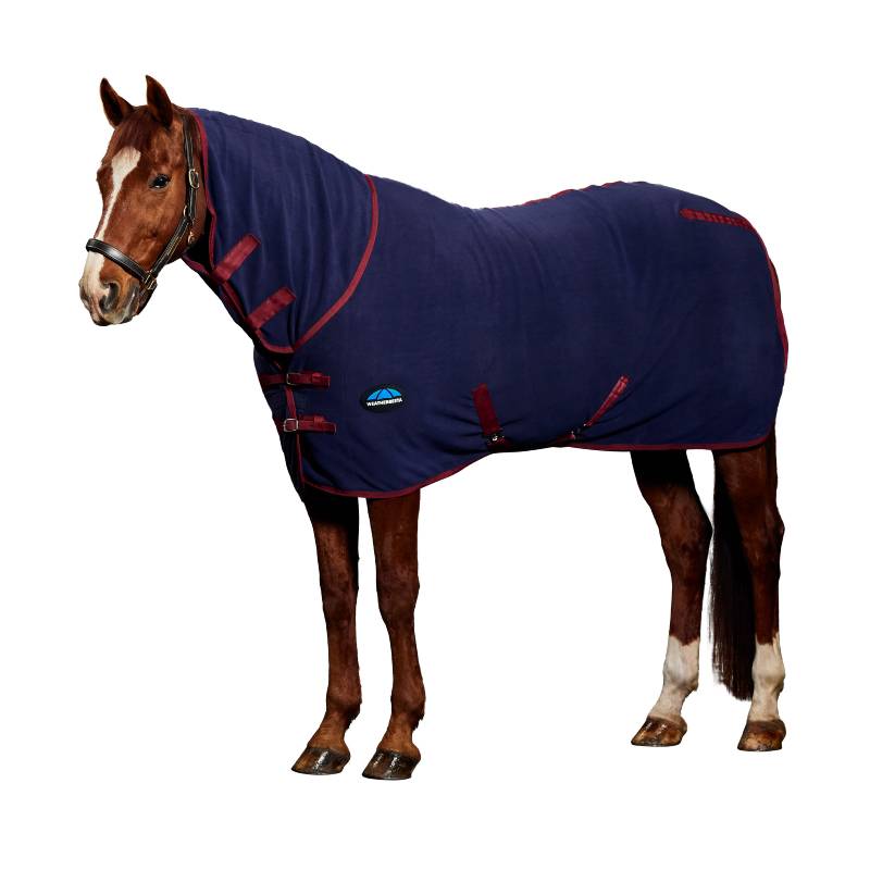 Brown horse in a Weatherbeeta Navy/Burgundy Cooler Combo Neck on a white background.