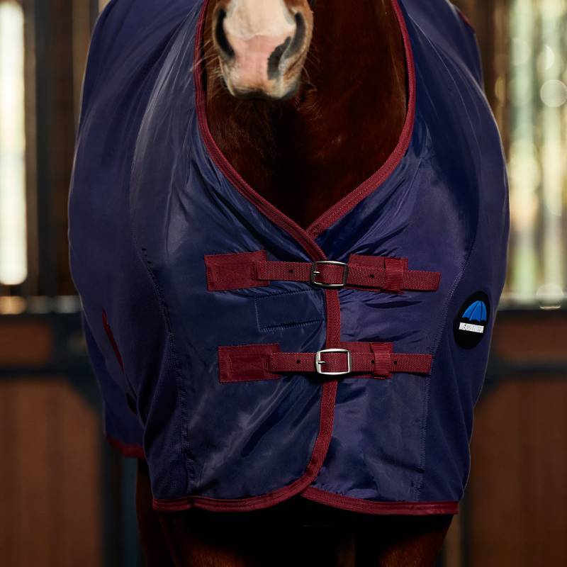 Horse in a Weatherbeeta Anti-Static Fleece Cooler Standard Neck Navy/Burgundy with chest buckles.