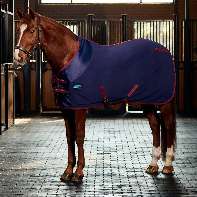 Chestnut horse in Weatherbeeta Anti-Static Fleece Cooler Standard Neck Navy/Burgundy in stable.