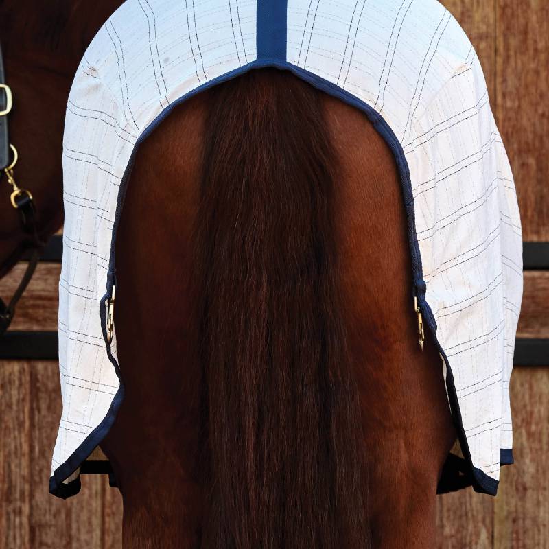 A brown horse in a Weatherbeeta Comfitec Cotton Sheet Liner stands by wooden stable doors.