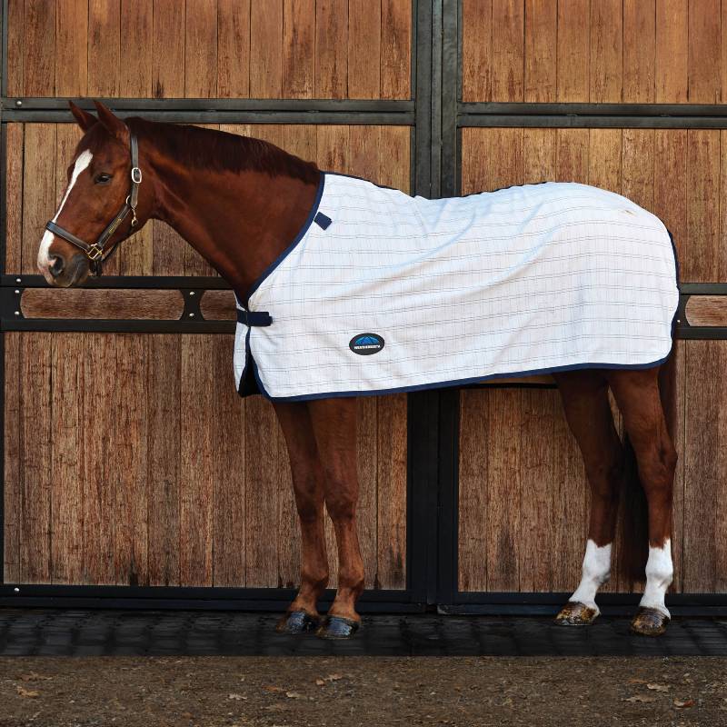 A brown horse in a Weatherbeeta Comfitec Cotton Sheet Liner stands by wooden stable doors.