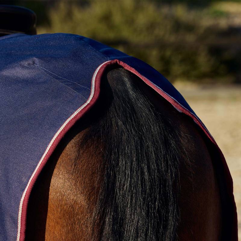 Horse covered with a Weatherbeeta Essential Fleece Quarter Sheet, Navy/Burgundy trim.