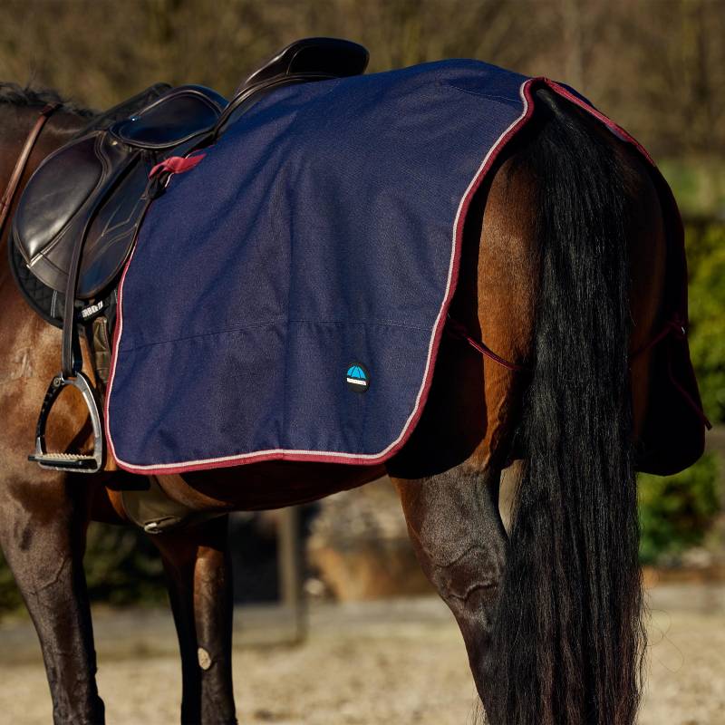 Brown horse in a Weatherbeeta Essential Fleece Lined Quarter Sheet, navy/burgundy, on sand.