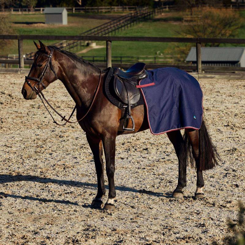 A dark brown horse wears a Weatherbeeta Essential Navy/Burgundy fleece quarter sheet in the sun.