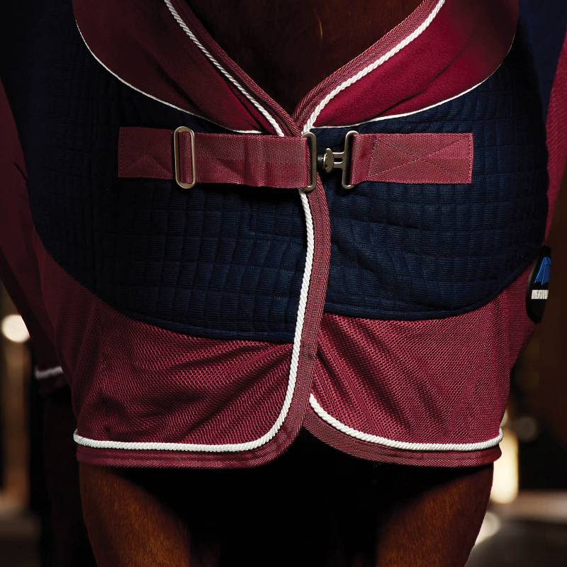 Close-up of a horse in a Weatherbeeta Thermo-Air Cooler Standard Neck Navy/Burgundy.