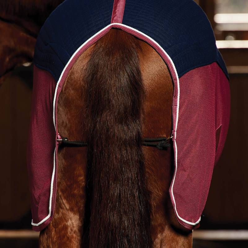 A horse's back and tail covered with a Weatherbeeta Thermo-Air Cooler Standard Neck rug.