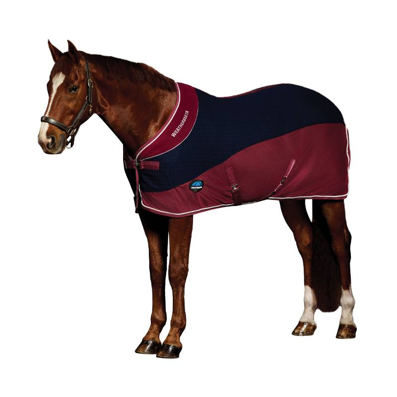 A brown horse in a Weatherbeeta Thermo-Air Cooler Standard Neck Navy/Burgundy, standing sideways.