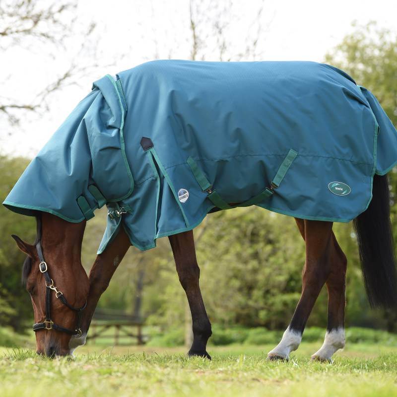 A horse in a Weatherbeeta Green-Tec 1200D turnout blanket grazes outdoors on green grass.
